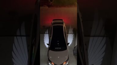 Wings lamps for car # Sahiba Car